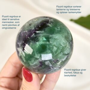 Fluorit regnbue krystal sten kugle i hånd med hvid baggrund og grønt blad med tags