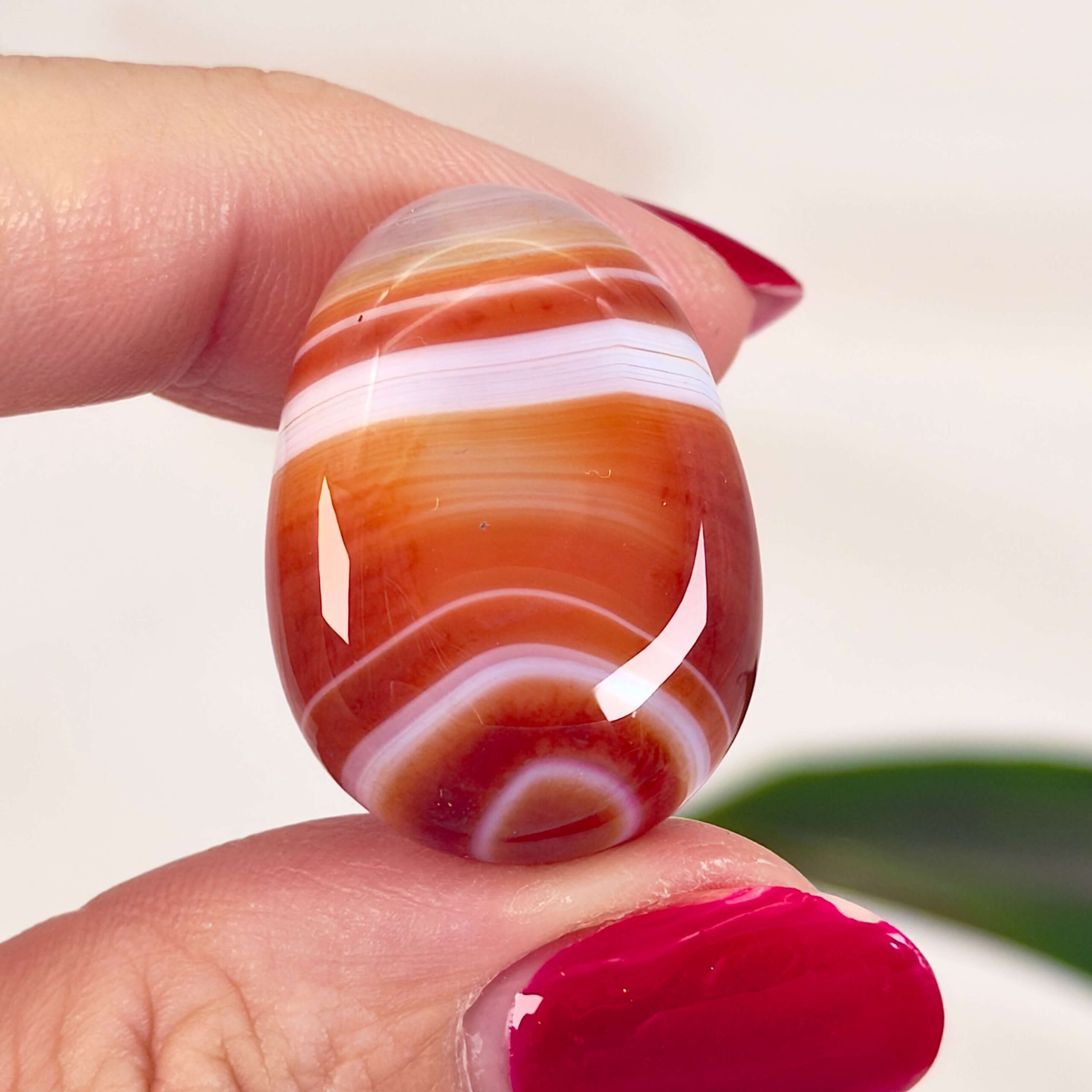 Karneol Dråbe Premium Lommesten i hånd på hvid baggrund