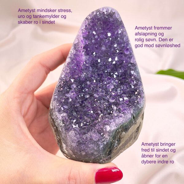 Ametyst krystal rå grotte klynge sten i hånd med hvid baggrund og grønt blad med tags