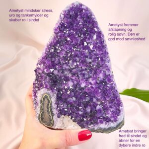 Ametyst krystal rå grotte klynge sten i hånd med hvid baggrund og grønt blad med tags