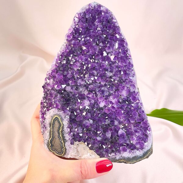 Ametyst krystal rå grotte klynge sten i hånd med hvid baggrund og grønt blad