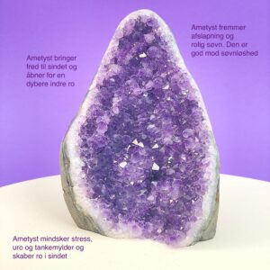 Ametyst krystal rå grotte klynge sten i hånd med hvid baggrund og grønt blad med tags