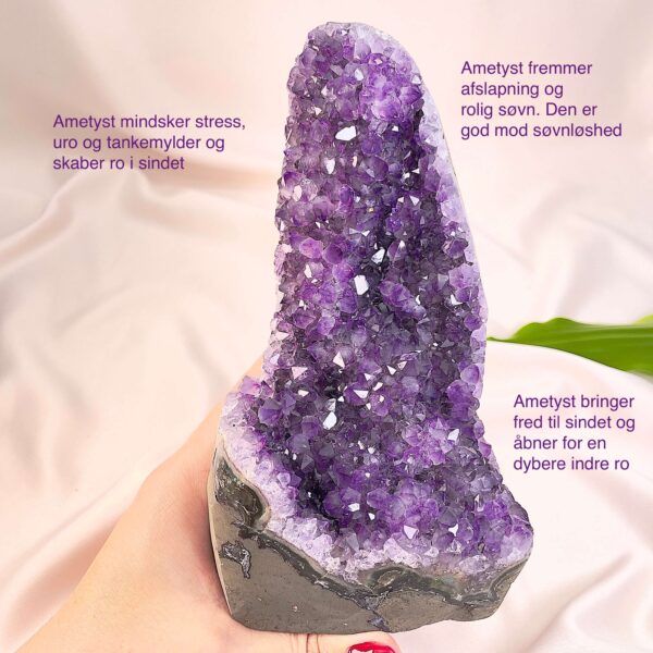 Ametyst krystal rå grotte klynge sten i hånd med hvid baggrund og grønt blad med tags