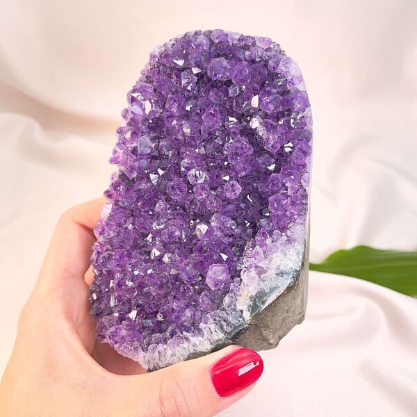 Ametyst krystal rå grotte klynge sten i hånd med hvid baggrund og grønt blad