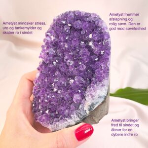 Ametyst krystal rå grotte klynge sten i hånd med hvid baggrund og grønt blad med tags