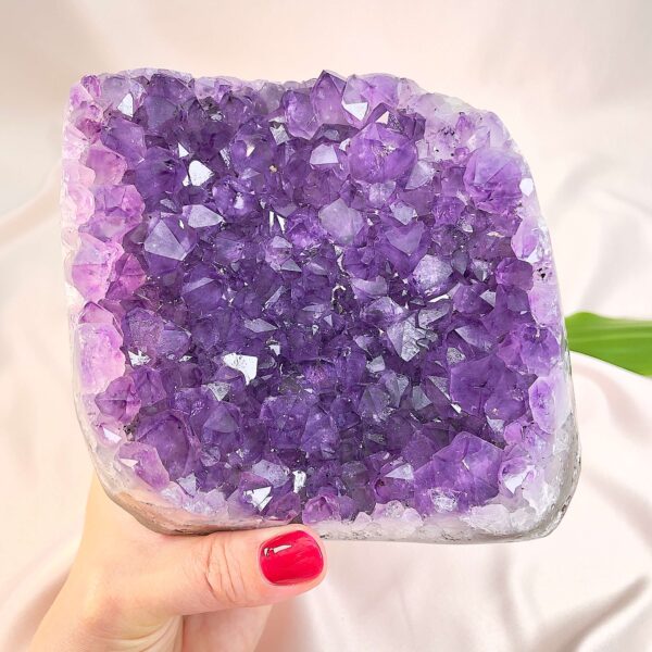 Ametyst krystal rå grotte klynge sten i hånd med hvid baggrund og grønt blad