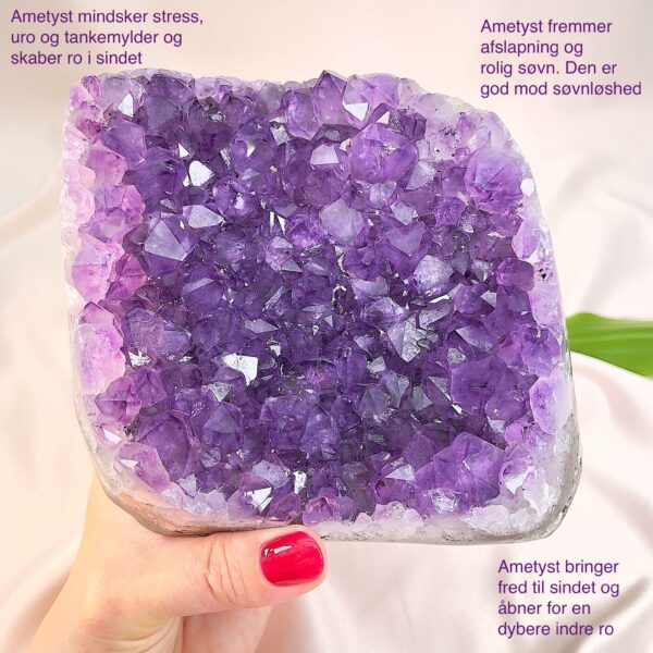 Ametyst krystal rå grotte klynge sten i hånd med hvid baggrund og grønt blad med tags