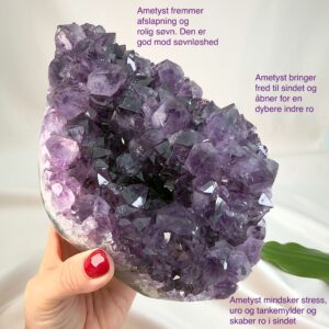 Ametyst krystal rå grotte klynge sten i hånd med hvid baggrund og grønt blad med tags