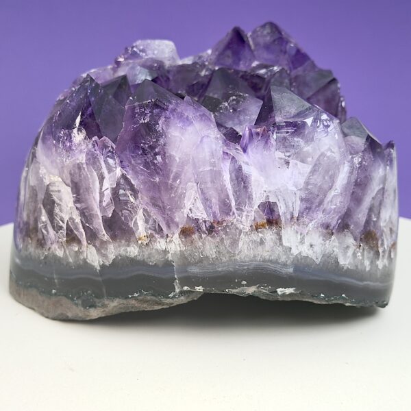 Ametyst krystal rå grotte klynge sten på hvid plade med lilla baggrund