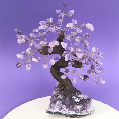 Ametyst krystal sten træ på hvid plade med lilla baggrund