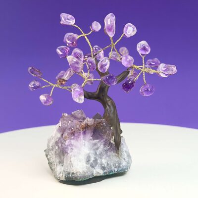 Ametyst krystal sten træ på hvid plade med lilla baggrund