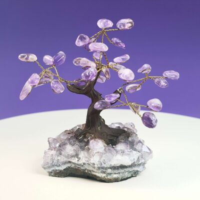 Ametyst krystal sten træ på hvid plade med lilla baggrund