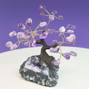 Ametyst krystal sten træ på hvid plade med lilla baggrund