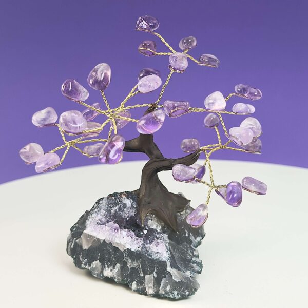 Ametyst krystal sten træ på hvid plade med lilla baggrund