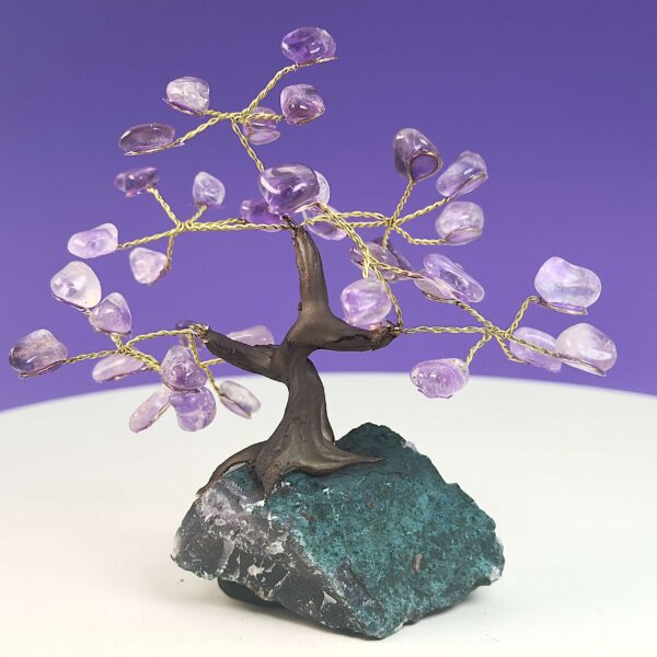 Ametyst krystal sten træ på hvid plade med lilla baggrund