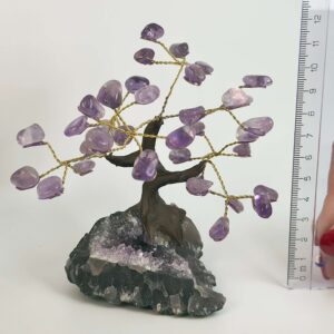 Ametyst krystal sten træ ved siden af lineal på hvid baggrund