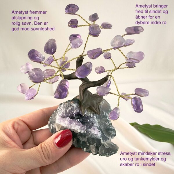 Ametyst krystal sten træ i hånd med hvid baggrund og grønt blad med tags