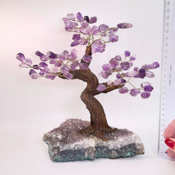 Ametyst træ på krystal bund ved siden af lineal med hvid baggrund