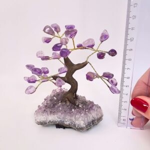 Ametyst træ på krystal bund ved siden af lineal med hvid baggrund
