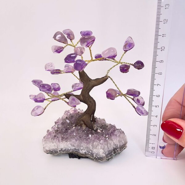 Ametyst træ på krystal bund ved siden af lineal med hvid baggrund