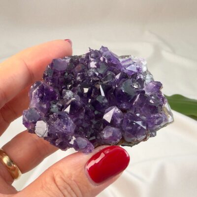 Ametyst krystal rå klynge sten i hånd med hvid baggrund og grønt blad