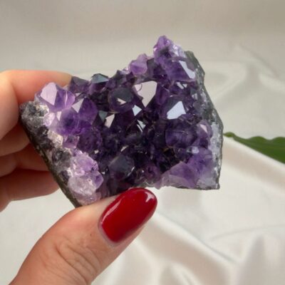 Ametyst krystal rå klynge sten i hånd med hvid baggrund og grønt blad