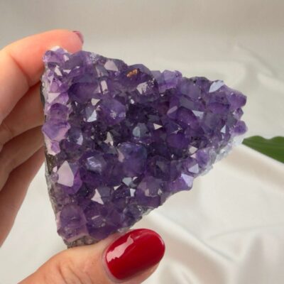 Ametyst krystal rå klynge sten i hånd med hvid baggrund og grønt blad