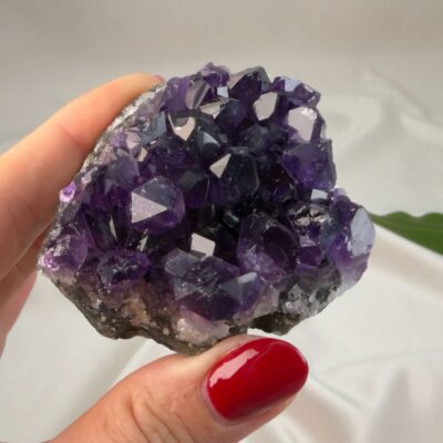 Ametyst krystal rå klynge sten i hånd med hvid baggrund og grønt blad