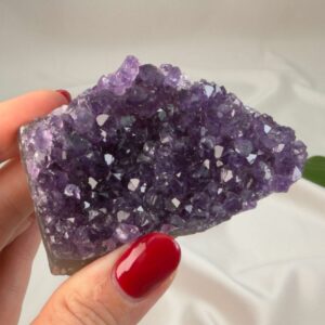 Ametyst krystal rå klynge sten i hånd med hvid baggrund og grønt blad