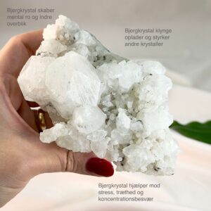 Bjergkrystal krystal klynge brud mellem fingre på hvid baggrund med grønt blad med tags