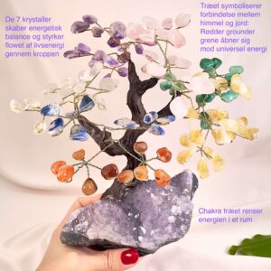 Ametyst bjergkrystal citrin karneol aventurin sodalit rosakvarts træ på krystal bund i hånd med lys baggrund og grønt blad med tags