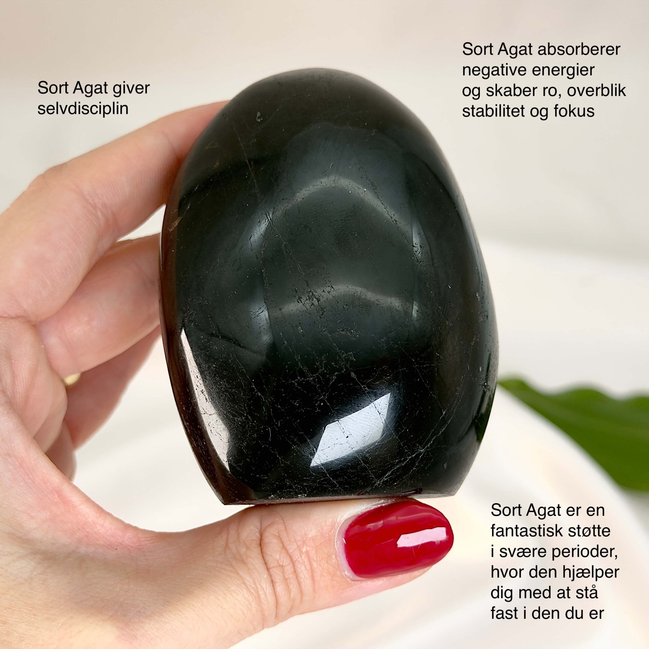 Sort Agat Freeform krystal sten i hånd på hvid baggrund med tags