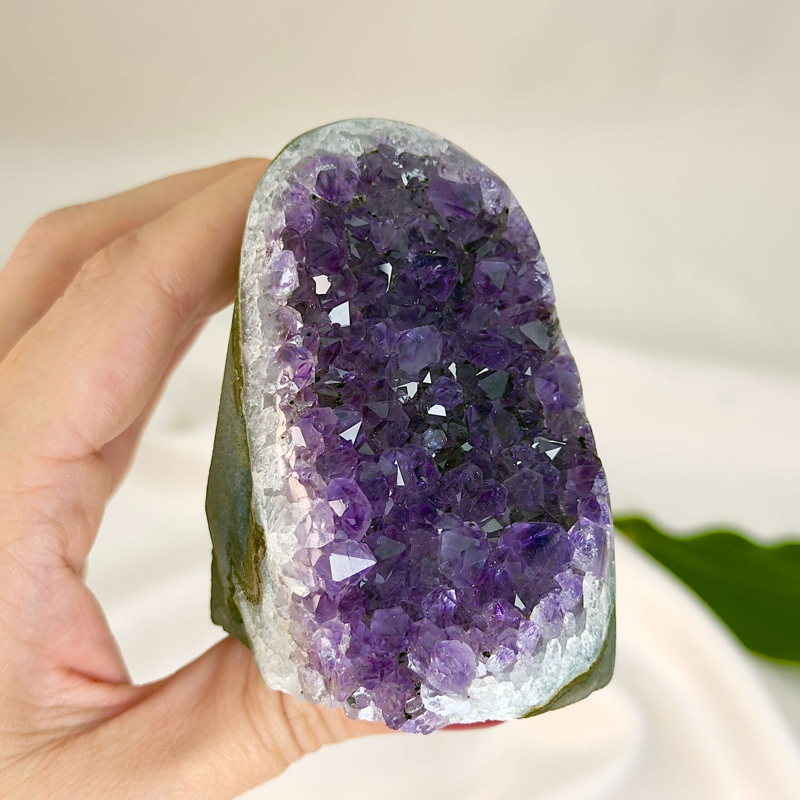 Ametyst krystal rå grotte klynge sten i hånd med hvid baggrund