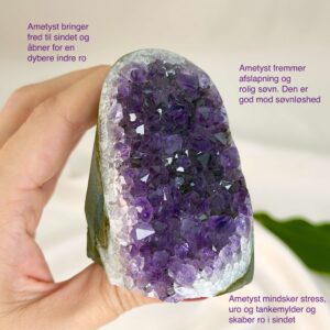 Ametyst krystal rå grotte klynge sten i hånd med hvid baggrund med tags