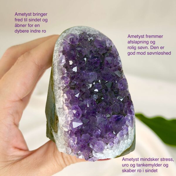 Ametyst krystal rå grotte klynge sten i hånd med hvid baggrund med tags