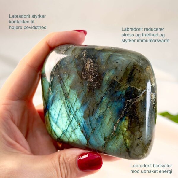 Labradorit krystal freeform støtte mellem fingre på hvid baggrund med grønt blad med tags