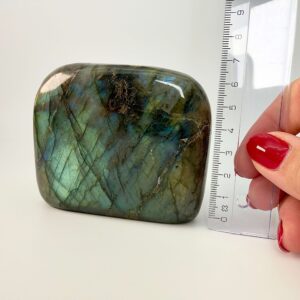 Labradorit krystal freeform støtte ved siden af lineal på hvid baggrund