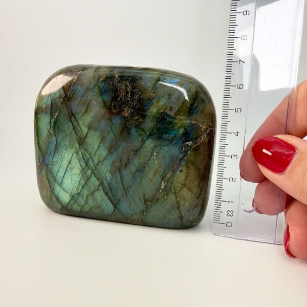 Labradorit krystal freeform støtte ved siden af lineal på hvid baggrund