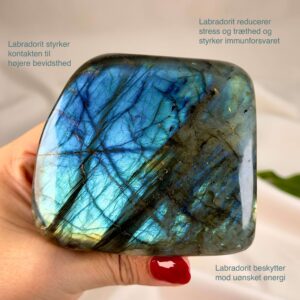 Labradorit krystal freeform støtte mellem fingre på hvid baggrund med grønt blad med tags