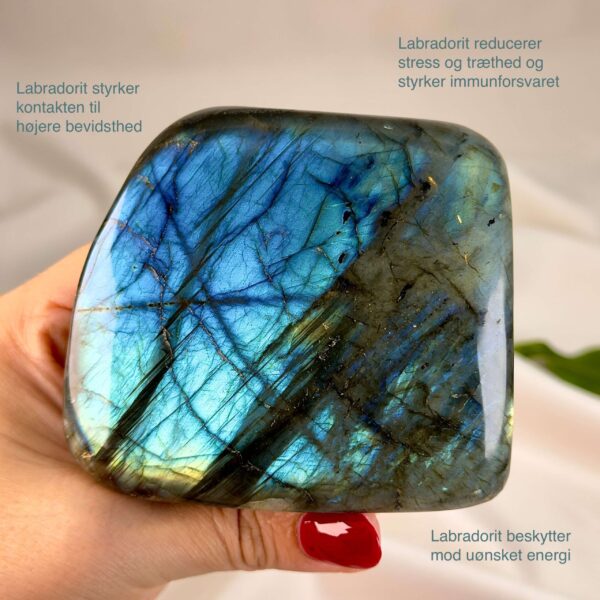 Labradorit krystal freeform støtte mellem fingre på hvid baggrund med grønt blad med tags