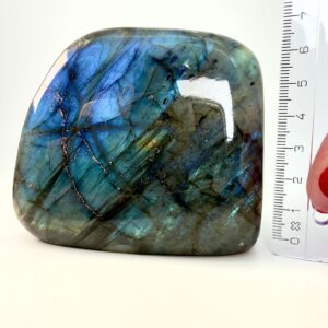 Labradorit krystal freeform støtte ved siden af lineal på hvid baggrund