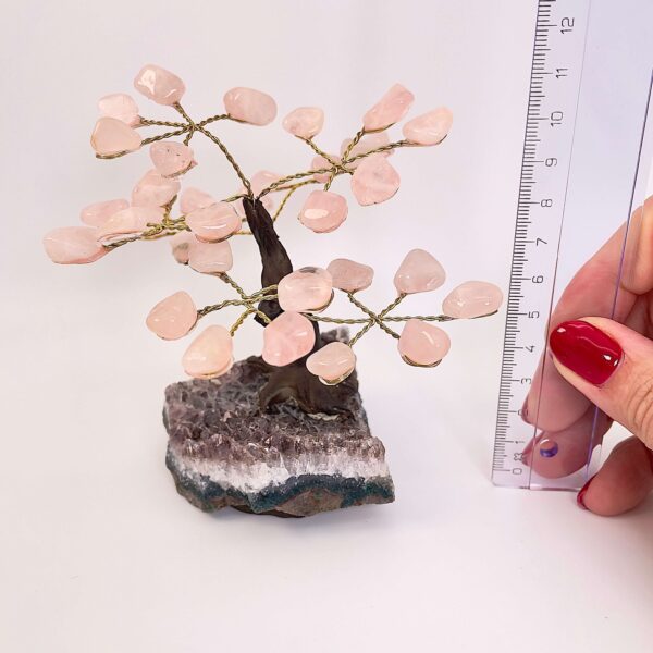 Rosakvarts træ på krystal bund ved siden af lineal med hvid baggrund