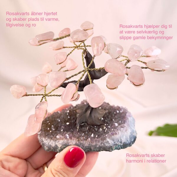 Rosakvarts træ på krystal bund i hånd med lys baggrund og grønt blad med tags