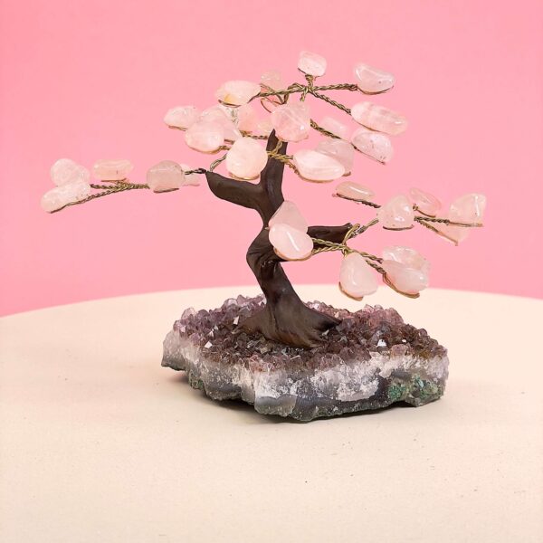 Rosakvarts træ på krystal bund på hvid plade med lyserød baggrund