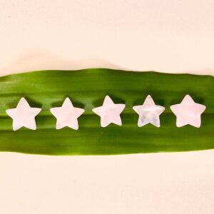 Rosakvarts mini stjerner på grønt blad med hvis baggrund