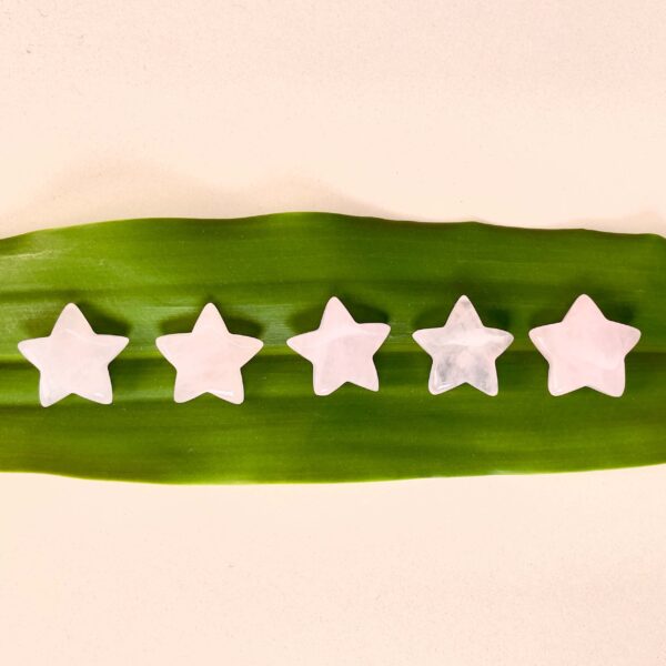 Rosakvarts mini stjerner på grønt blad med hvis baggrund