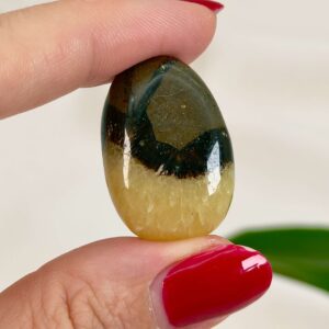 Septarie Dråbe Lommesten krystal i hånd på hvid baggrund