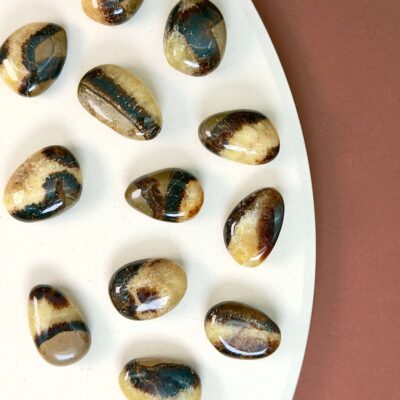 Septarie Dråbe Lommesten krystal samling på hvid og brun baggrund