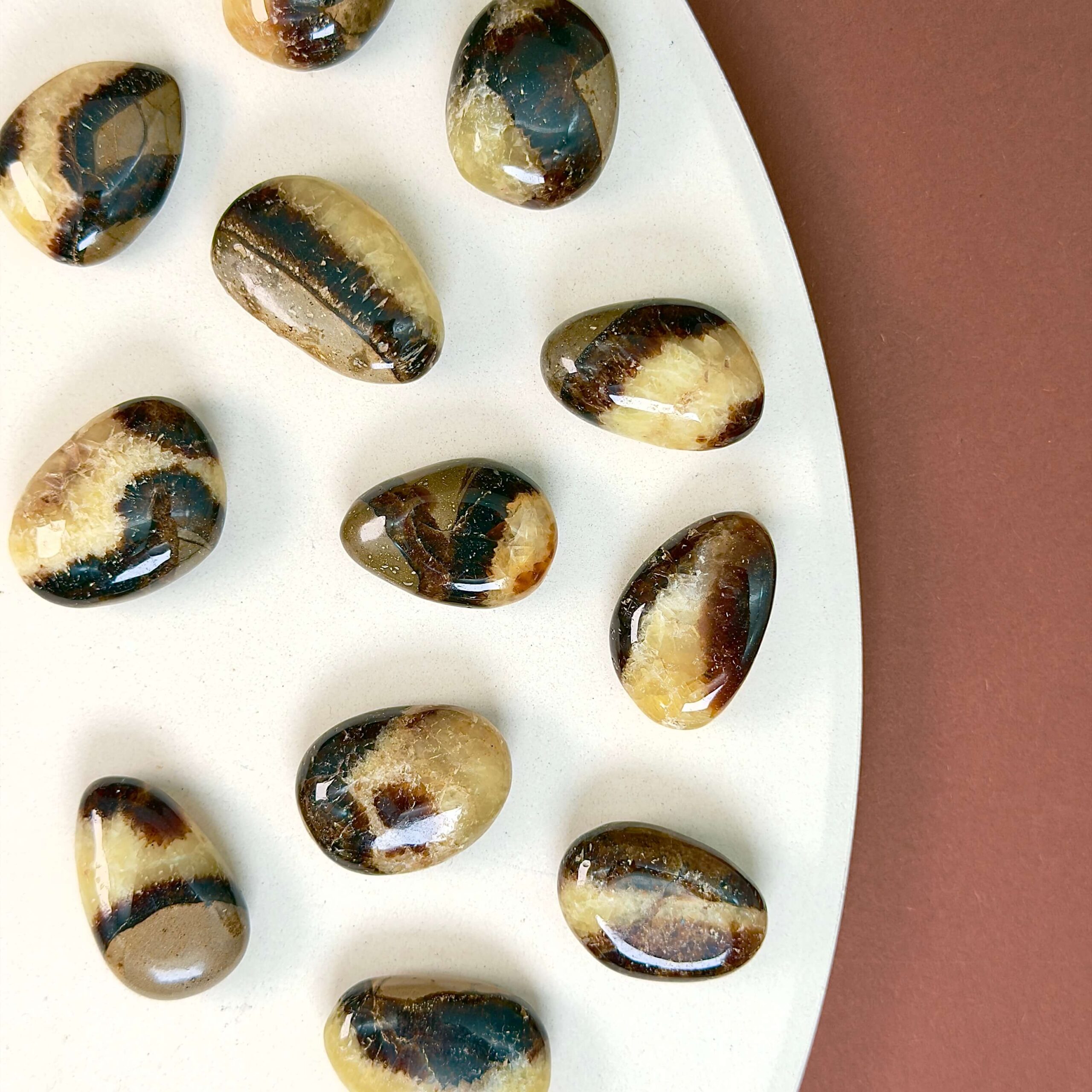 Septarie Dråbe Lommesten krystal samling på hvid og brun baggrund