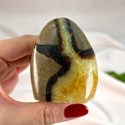 Septarie krystal freeform støtte mellem fingre på hvid baggrund med grønt blad